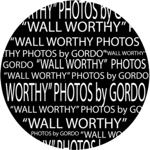 Wall Worthy Photos Button