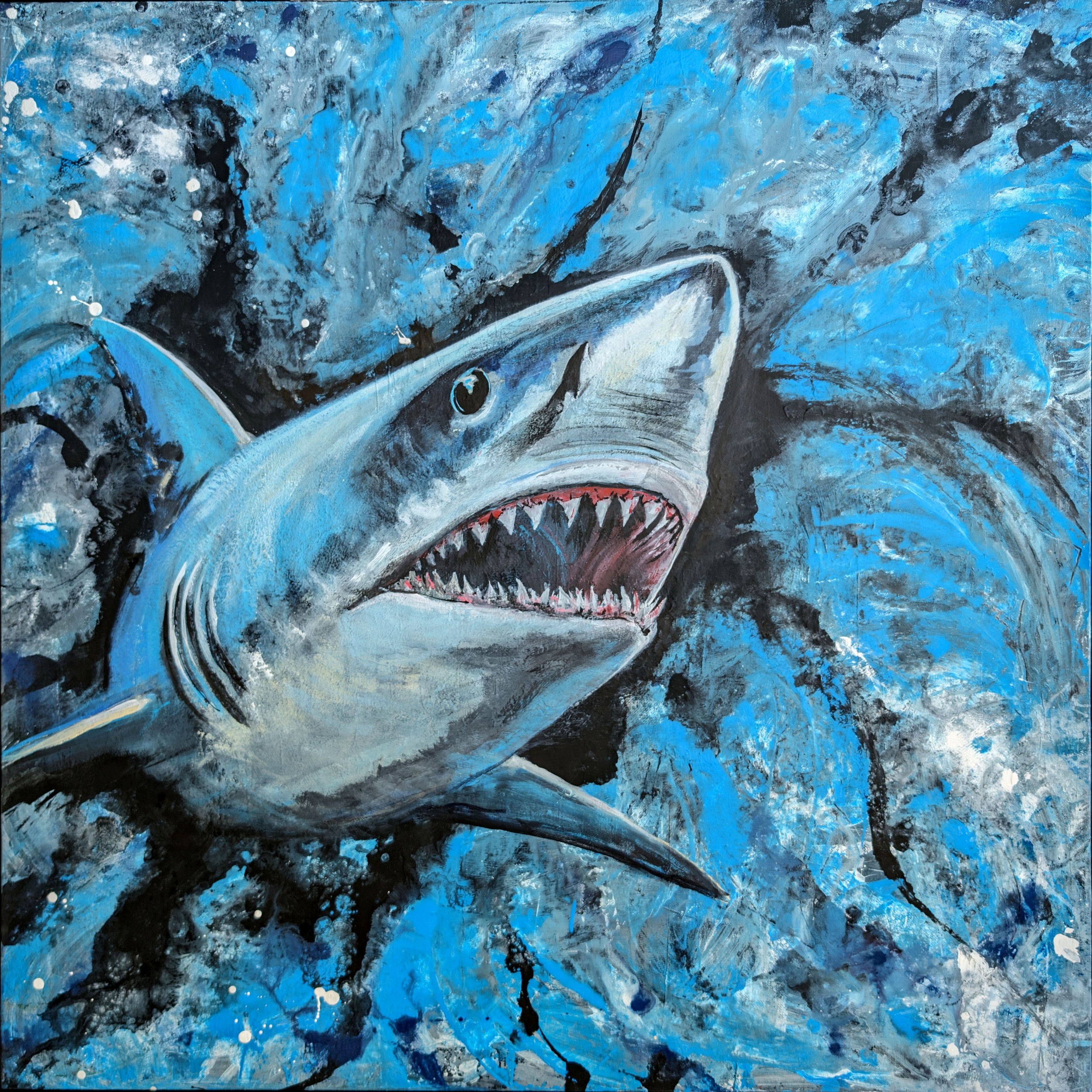 Shark Painting - Contact Gordo for price