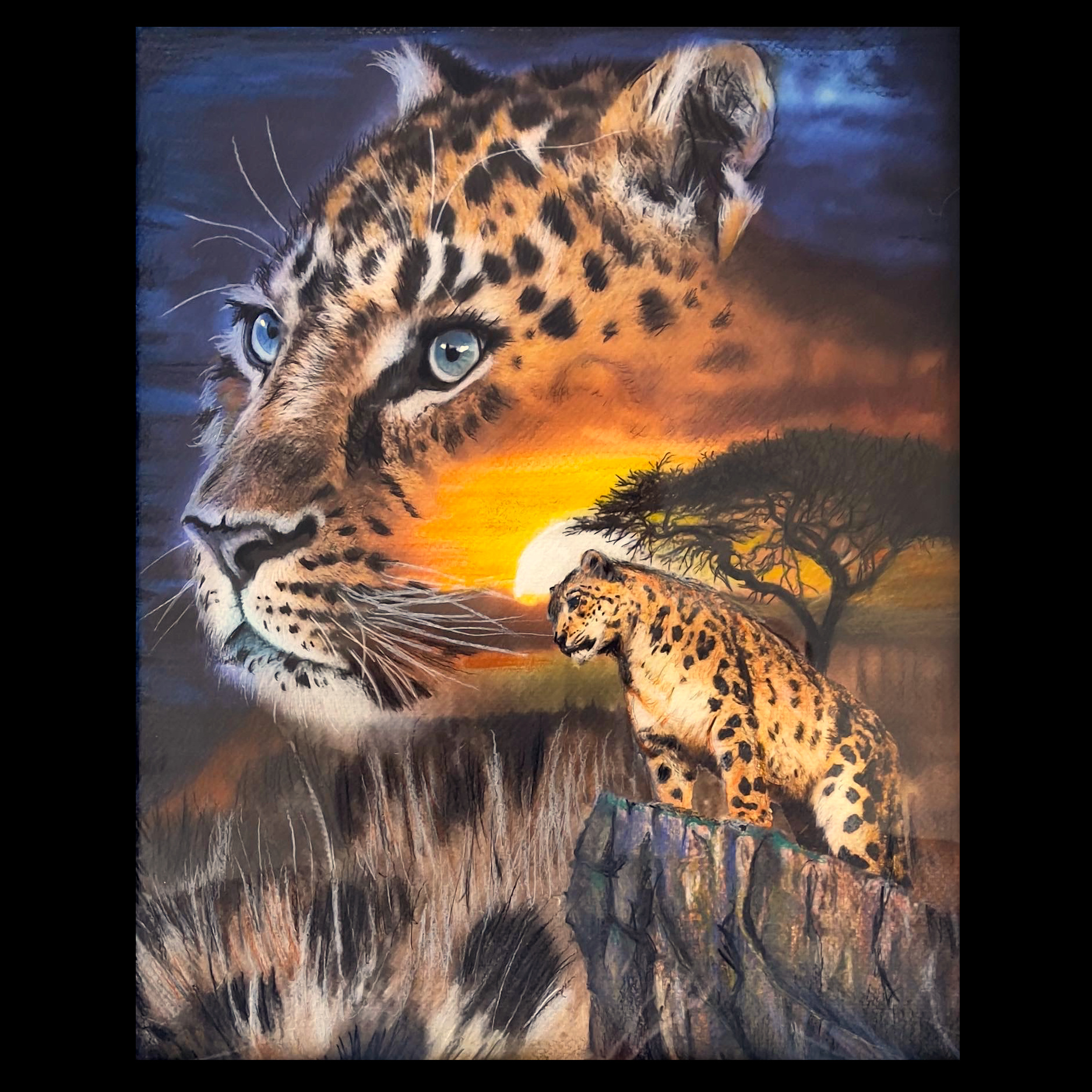 Leopard using Pro Grade Colored Pencils