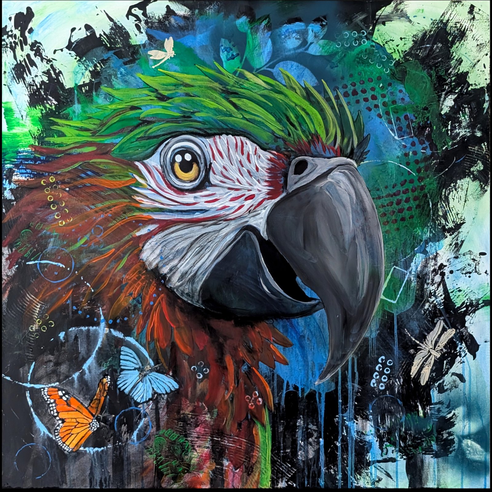 Parrot - Contact Gordo for price