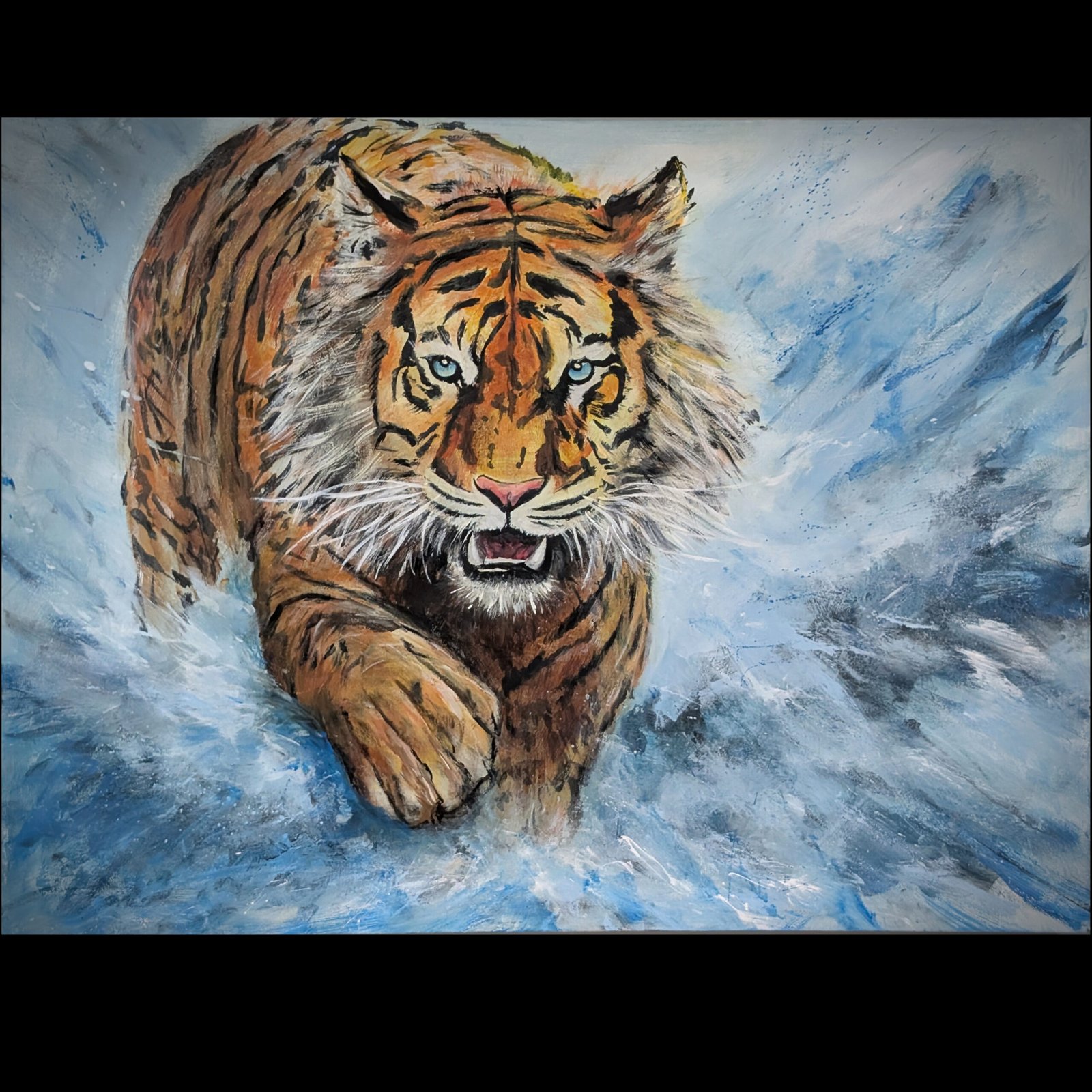 Stunning Tiger - Contact Gordo for price