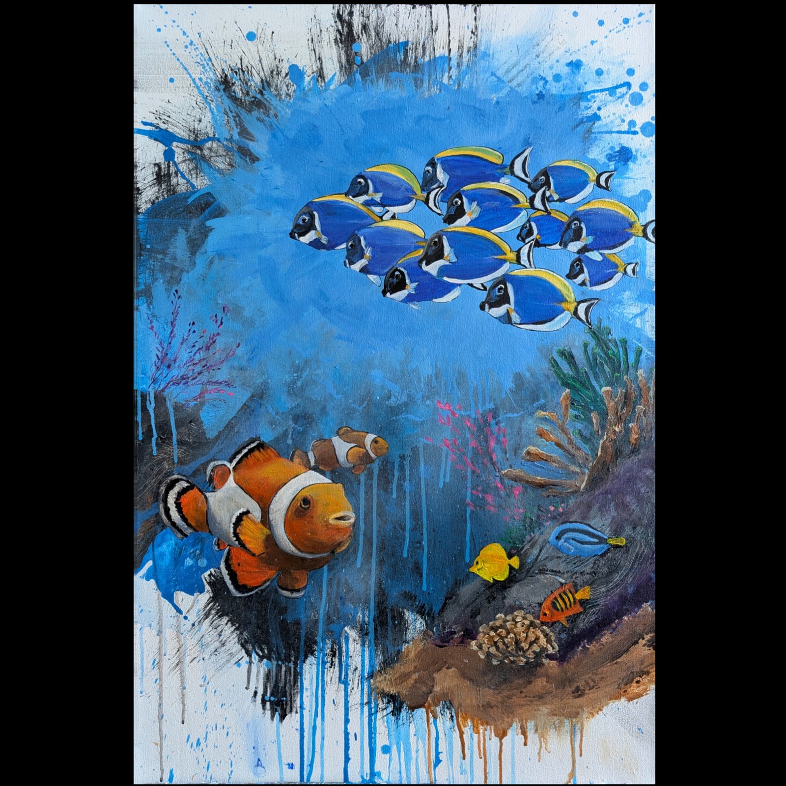 Reef - Contact Gordo for price